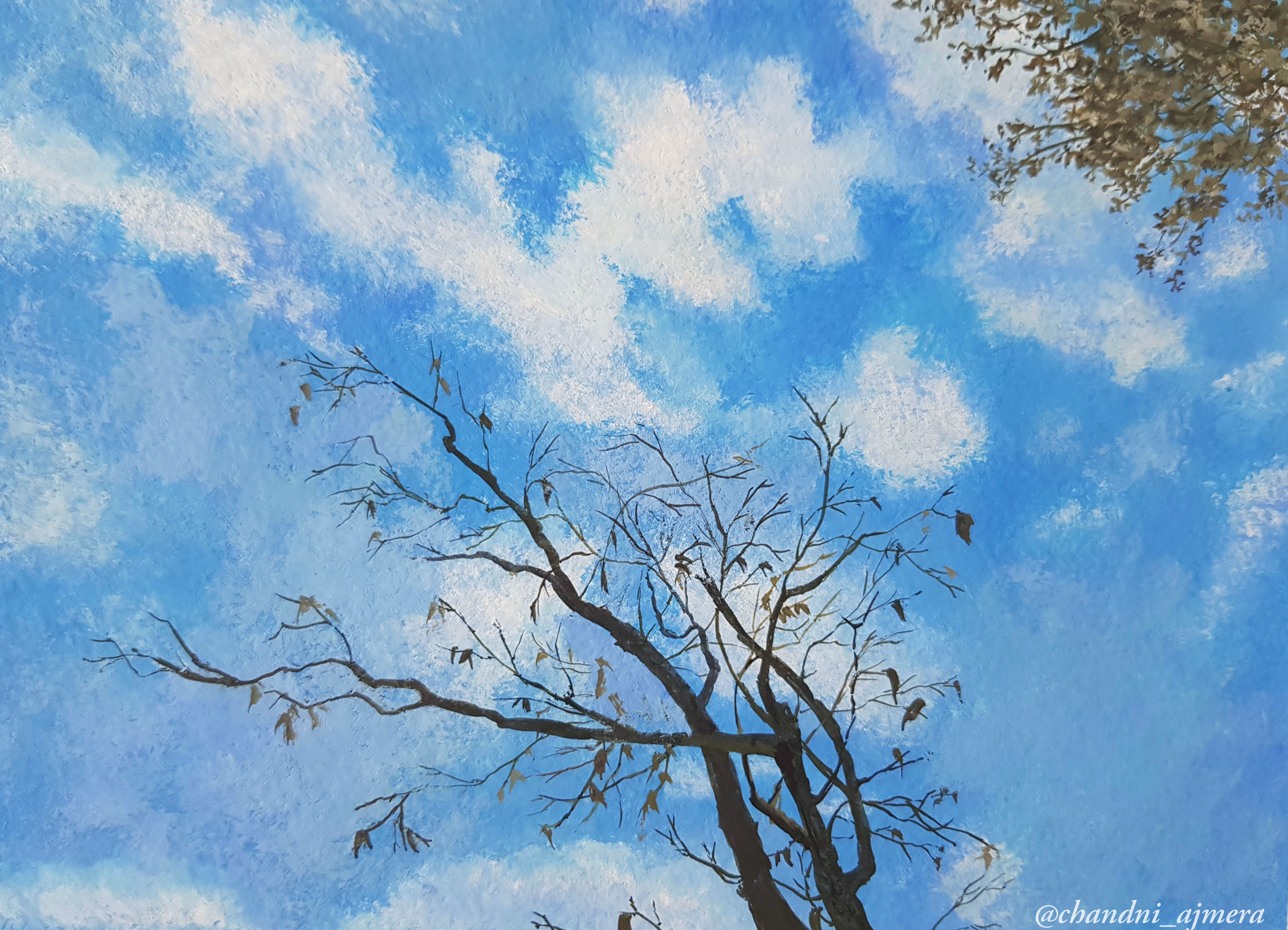 Bare against Blue Sky 