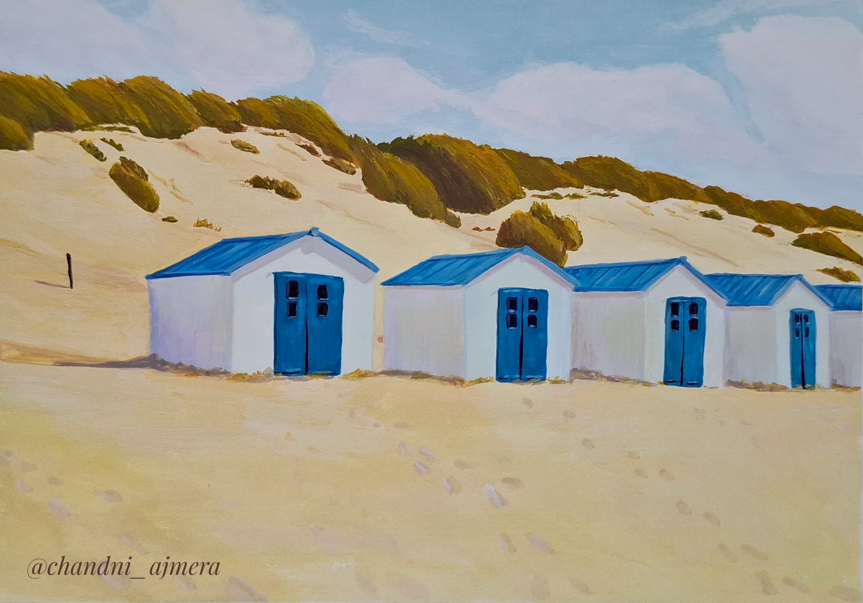 Beach houses at Texel 