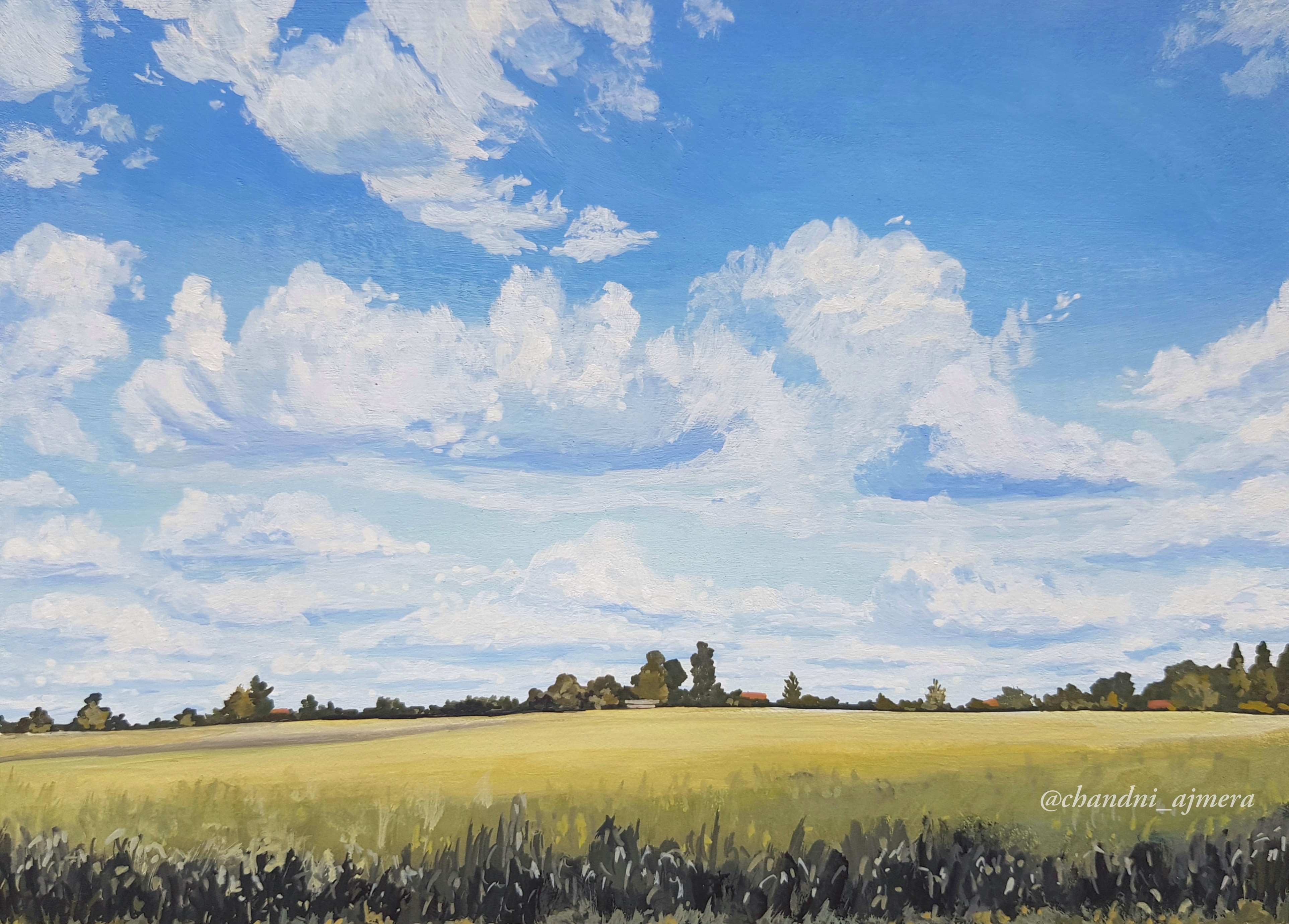 Summer in Dutch countryside 